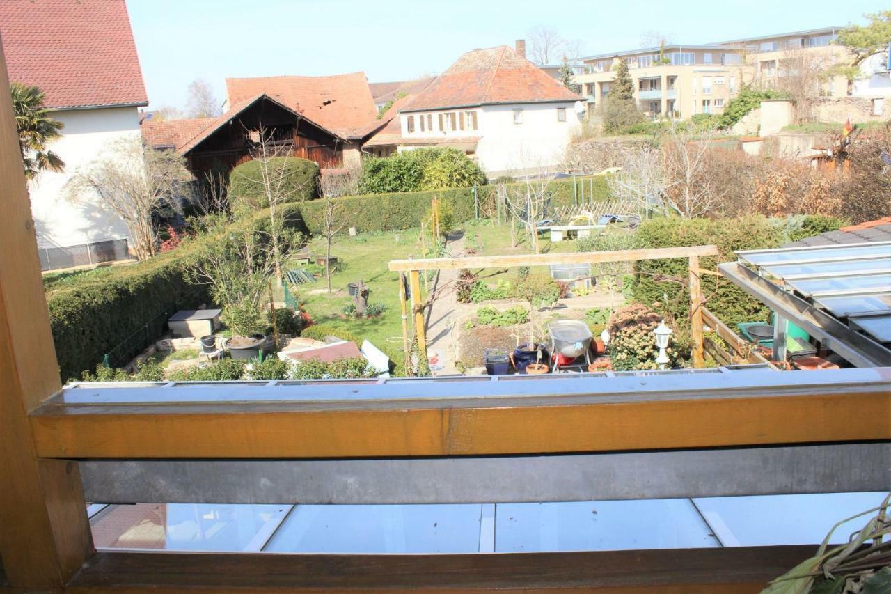 Apartament Gastehaus Thoma Breisach Zewnętrze zdjęcie